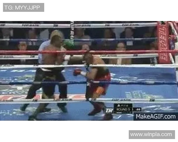 中国拳击手力挫群雄斩获职业金腰带成功跻身国际拳击前十